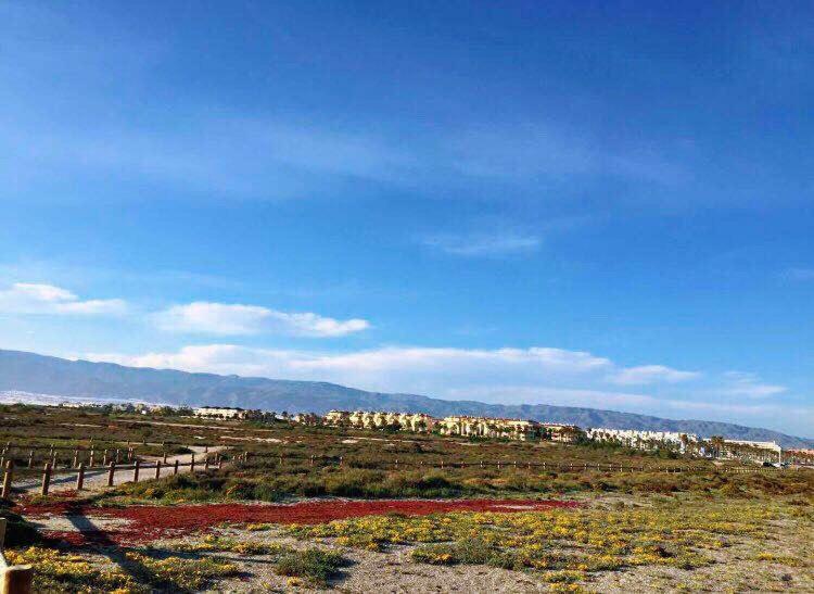 Apartamento Lujo, Primera Linea Playa, Garaje, Wifi, Piscina Climatizada Roquetas de Mar Exterior photo